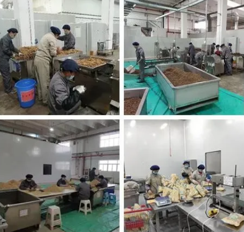 皇家庆幸-主页