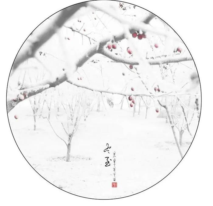 皇家庆幸-主页