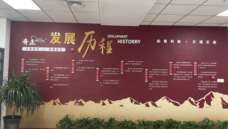 皇家荣耀官网集团文化墙