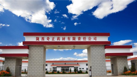 陇西皇家荣耀官网