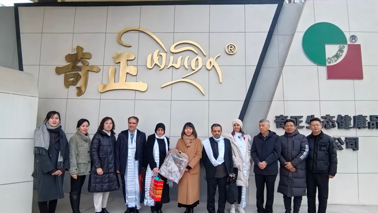 深掘藏医珍宝，共绘健全新篇——伊朗代表团莅临皇家荣耀官网集团参访互换